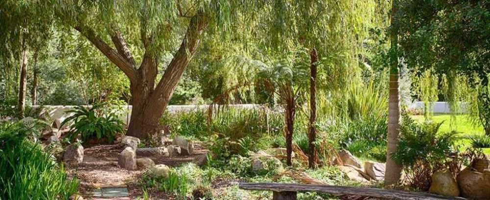 Assegaaibosch Country Lodge Kareedouw Εξωτερικό φωτογραφία