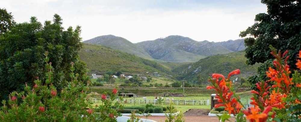 Assegaaibosch Country Lodge Kareedouw Εξωτερικό φωτογραφία